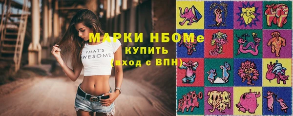 прущий лед Алзамай