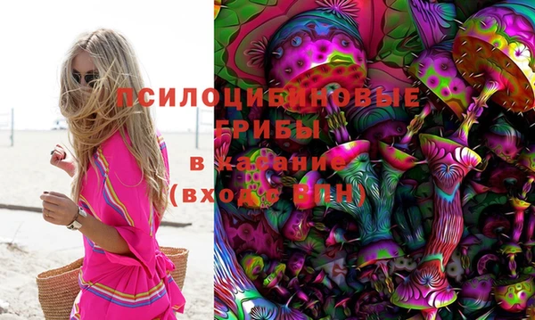 не бодяженный Алексин