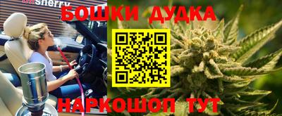 ALPHA PVP Камышлов