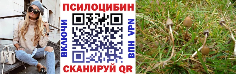 Псилоцибиновые грибы Psilocybine cubensis  мега маркетплейс  Соликамск 