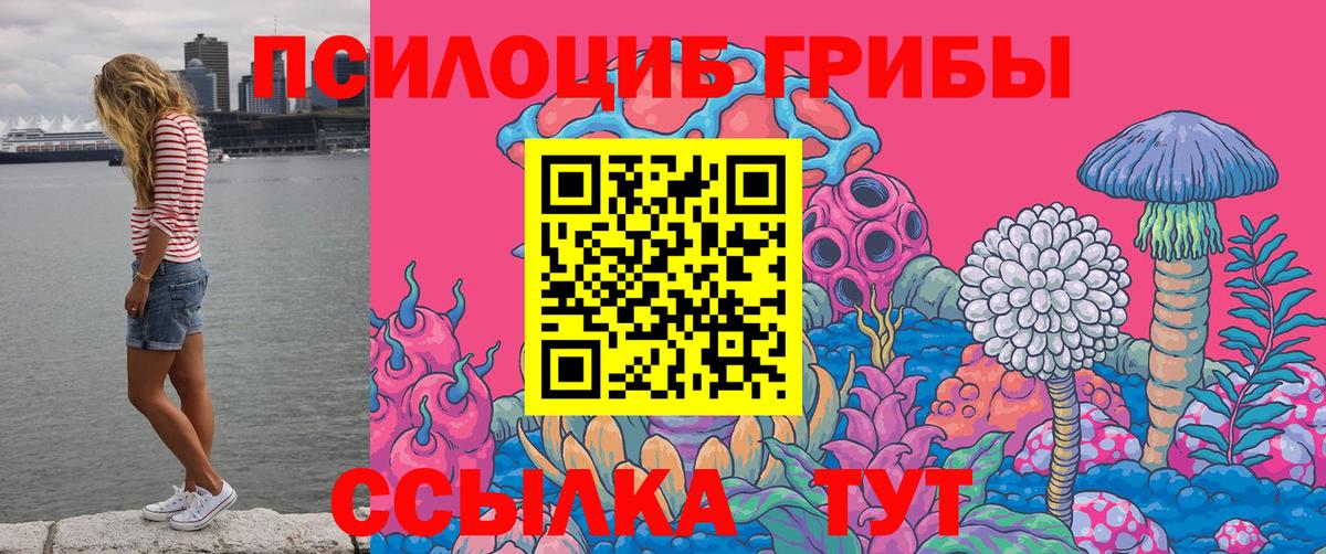 Соликамск  Псилоцибиновые грибы мицелий  Псилоцибиновые грибы Cubensis  Вход с VPN 